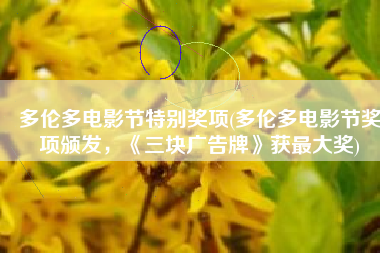 多伦多电影节特别奖项(多伦多电影节奖项颁发，《三块广告牌》获最大奖)