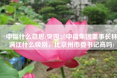 中福什么意思(突围：中福集团董事长林满江什么级别，比京州市委书记高吗)