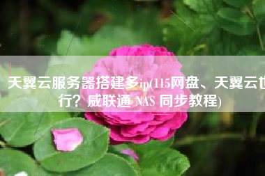天翼云服务器搭建多ip(115网盘、天翼云也行？威联通 NAS 同步教程)