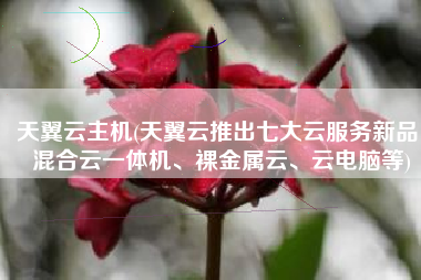天翼云主机(天翼云推出七大云服务新品：混合云一体机、裸金属云、云电脑等)
