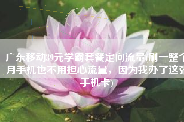 广东移动39元学霸套餐定向流量(刷一整个月手机也不用担心流量，因为我办了这张手机卡)