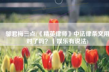 邬君梅三点(《精英律师》中法律条文用对了吗？丨娱乐有说法)