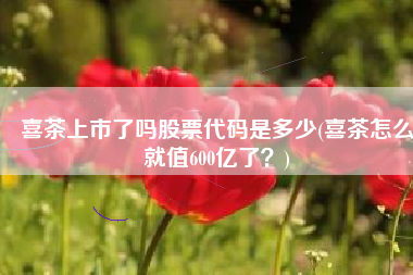 喜茶上市了吗股票代码是多少(喜茶怎么就值600亿了？)