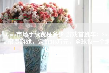 steam市场手续费是多少(游戏首班车：Steam最贵游戏，定价346万元，全球仅一个地区能购买)