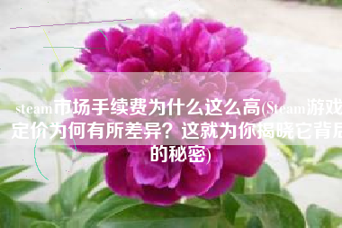 steam市场手续费为什么这么高(Steam游戏定价为何有所差异？这就为你揭晓它背后的秘密)
