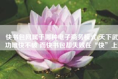 快书包网属于哪种电子商务模式(天下武功唯快不破 而快书包却失败在“快”上)