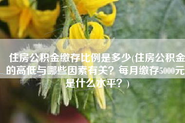 住房公积金缴存比例是多少(住房公积金的高低与哪些因素有关？每月缴存5000元，是什么水平？)