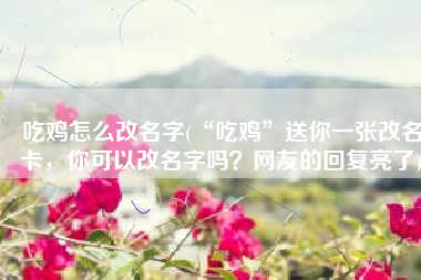 吃鸡怎么改名字(“吃鸡”送你一张改名卡，你可以改名字吗？网友的回复亮了)