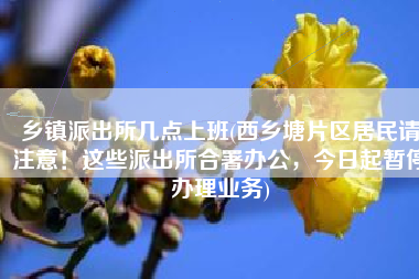 乡镇派出所几点上班(西乡塘片区居民请注意！这些派出所合署办公，今日起暂停办理业务)