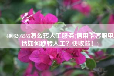 4008205555怎么转人工服务(信用卡客服电话如何秒转人工？快收藏！)