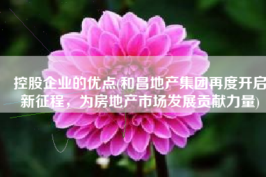 控股企业的优点(和昌地产集团再度开启新征程，为房地产市场发展贡献力量)