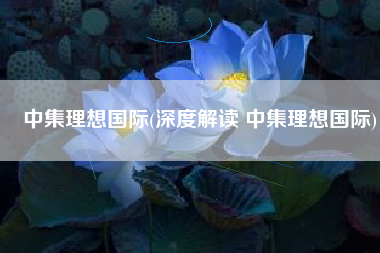 中集理想国际(深度解读 中集理想国际)