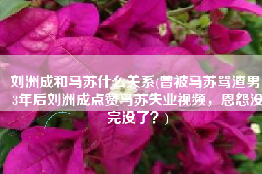 刘洲成和马苏什么关系(曾被马苏骂渣男，3年后刘洲成点赞马苏失业视频，恩怨没完没了？)