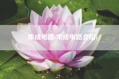 集成电路(集成电路介绍)
