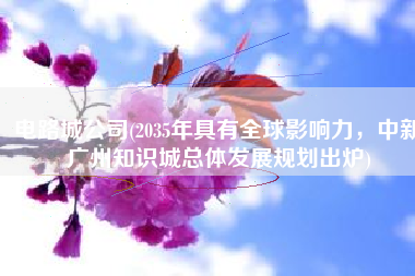 电路城公司(2035年具有全球影响力，中新广州知识城总体发展规划出炉)