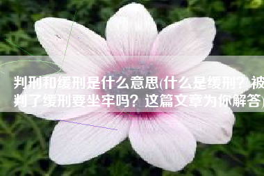 判刑和缓刑是什么意思(什么是缓刑？被判了缓刑要坐牢吗？这篇文章为你解答)