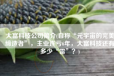 大富科技公司简介(自称“元宇宙的完美缔造者”，主业连亏6年，大富科技还有多少“雷”？)