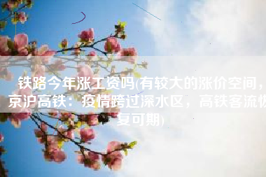 铁路今年涨工资吗(有较大的涨价空间，京沪高铁：疫情跨过深水区，高铁客流恢复可期)