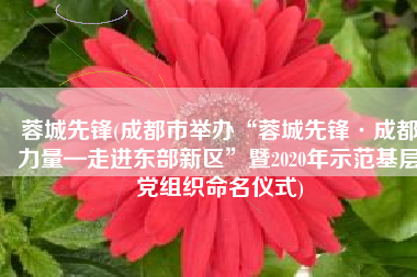 蓉城先锋(成都市举办“蓉城先锋·成都力量—走进东部新区”暨2020年示范基层党组织命名仪式)