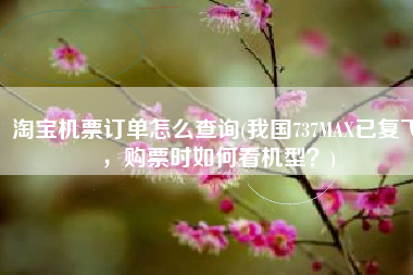 淘宝机票订单怎么查询(我国737MAX已复飞，购票时如何看机型？)