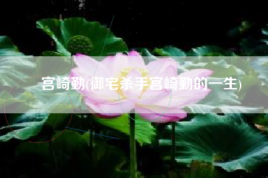 宫崎勤(御宅杀手宫崎勤的一生)