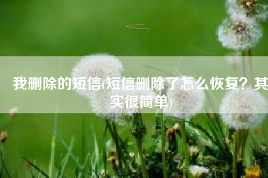 我删除的短信(短信删除了怎么恢复？其实很简单)