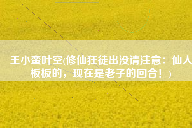 王小蛮叶空(修仙狂徒出没请注意：仙人板板的，现在是老子的回合！)