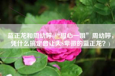 蓝正龙和周幼婷(“甜心一姐”周幼婷，凭什么搞定曾让大S卑微的蓝正龙？)