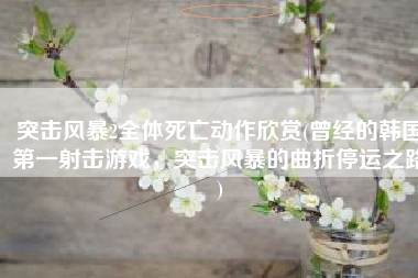突击风暴2全体死亡动作欣赏(曾经的韩国第一射击游戏，突击风暴的曲折停运之路)