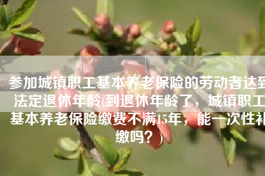 参加城镇职工基本养老保险的劳动者达到法定退休年龄(到退休年龄了，城镇职工基本养老保险缴费不满15年，能一次性补缴吗？)