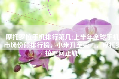 摩托罗拉手机排行第几(上半年全球手机市场份额排行榜，小米升至第二，摩托罗拉重回正轨)