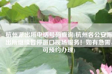 杭州派出所电话号码查询(杭州各公安派出所继续暂停窗口现场服务！如有急需，可预约办理)