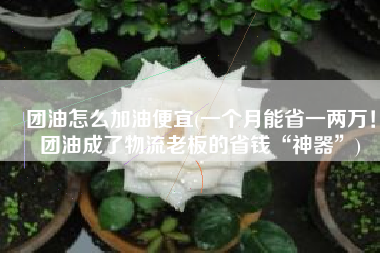 团油怎么加油便宜(一个月能省一两万！团油成了物流老板的省钱“神器”)