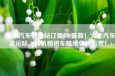 大沥汽车客运站订票网(最新！大沥汽车客运站、候机楼班车陆续恢复运营！)