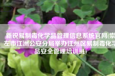新锐易制毒化学品管理信息系统官网(崇左市江洲公安分局举办江州区易制毒化学品安全管理培训班)