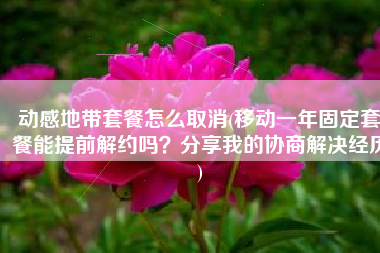 动感地带套餐怎么取消(移动一年固定套餐能提前解约吗？分享我的协商解决经历)