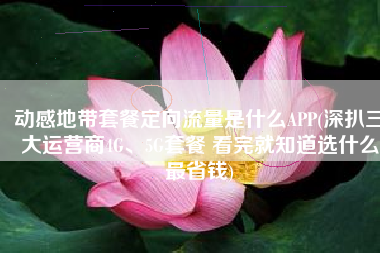 动感地带套餐定向流量是什么APP(深扒三大运营商4G、5G套餐 看完就知道选什么最省钱)