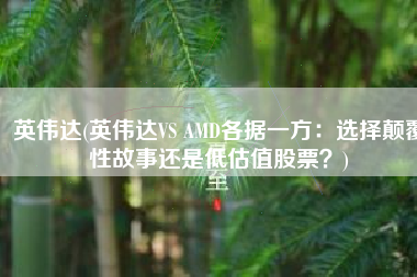 英伟达(英伟达VS AMD各据一方：选择颠覆性故事还是低估值股票？)