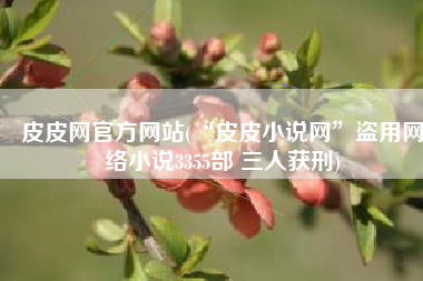 皮皮网官方网站(“皮皮小说网”盗用网络小说3355部 三人获刑)