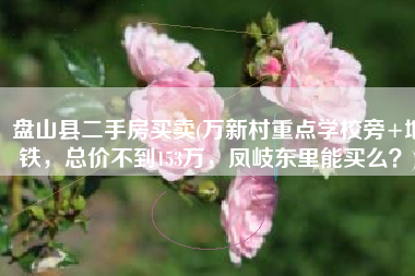 盘山县二手房买卖(万新村重点学校旁+地铁，总价不到153万，凤岐东里能买么？)