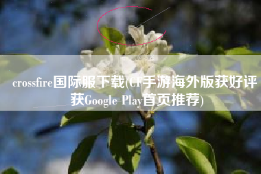 crossfire国际服下载(CF手游海外版获好评 获Google Play首页推荐)