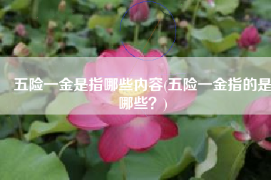 五险一金是指哪些内容(五险一金指的是哪些？)