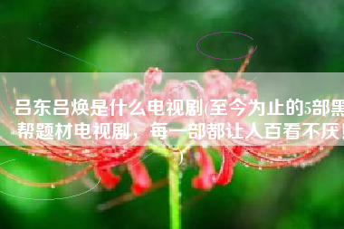 吕东吕焕是什么电视剧(至今为止的5部黑帮题材电视剧，每一部都让人百看不厌！)