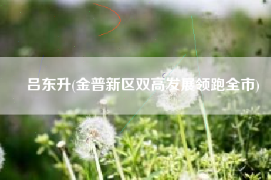 吕东升(金普新区双高发展领跑全市)