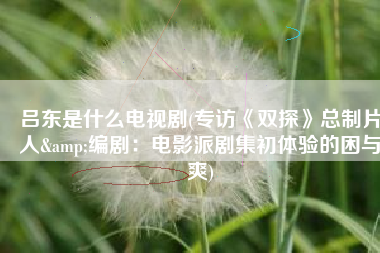 吕东是什么电视剧(专访《双探》总制片人&编剧：电影派剧集初体验的困与爽)