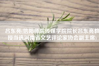 吕东亮(信阳师院传媒学院院长吕东亮教授当选河南省文艺评论家协会副主席)