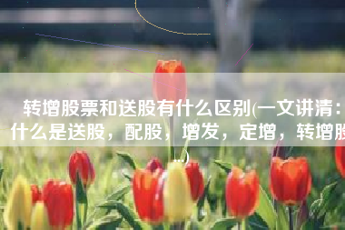 转增股票和送股有什么区别(一文讲清：什么是送股，配股，增发，定增，转增股...)
