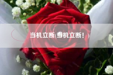 当机立断(当机立断！)