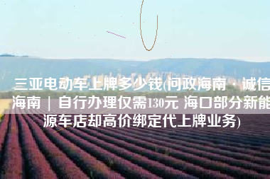 三亚电动车上牌多少钱(问政海南·诚信海南 | 自行办理仅需130元 海口部分新能源车店却高价绑定代上牌业务)