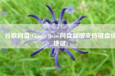 谷歌网盘(Google Drive网盘新增支持键盘快捷键)